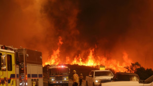 Los Angeles wildfire explodes, engulfing homes