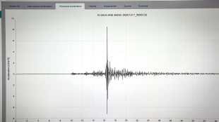 I primi segnali di un terremoto svelano la sua evoluzione