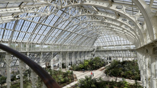 Une nouvelle espèce de nénuphar géant découverte à Kew Gardens