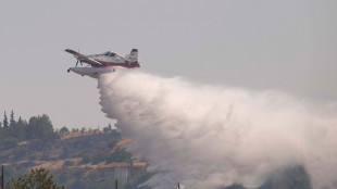In Grecia i pompieri combattono incendi a Eubea e Creta