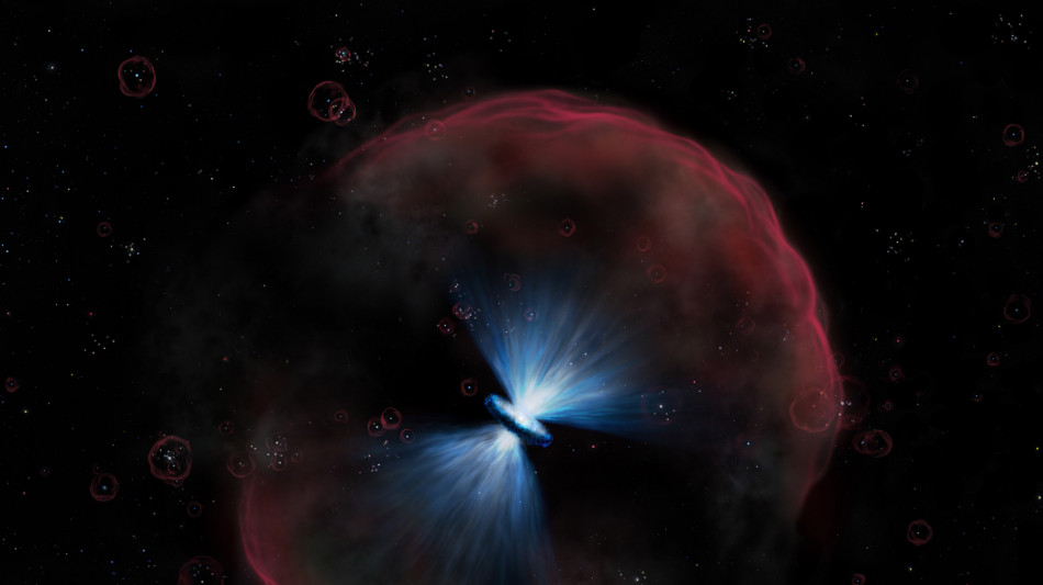 Il risveglio di un enorme buco nero visibile in tempo reale
