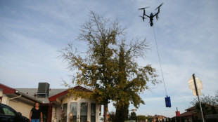 Walmart weitet Auslieferung mit Drohnen in den USA kräftig aus