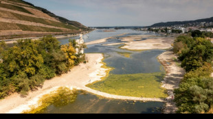 Deutschland erlebte dieses Jahr einen der heißesten und trockensten Sommer