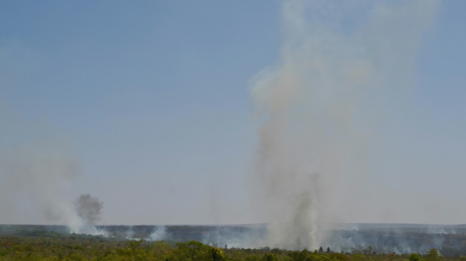 "Intentamos evitar el fin del mundo": la justicia brasileña defiende los gastos por los incendios