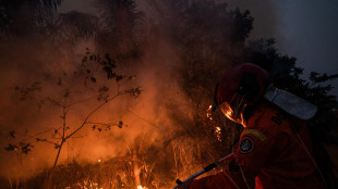 Brasile, 41 arresti per incendi dolosi nello stato di San Paolo