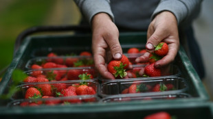Wimbledon strawberries 'perfect' despite soggy spring