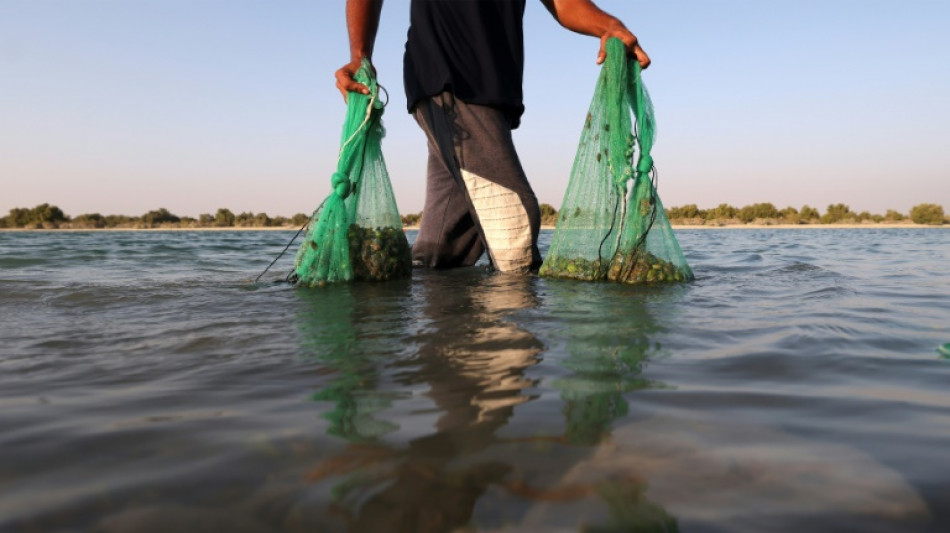 Como a mudança climática afeta a saúde