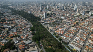 'Crazy' tree planter greening Sao Paulo concrete jungle