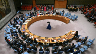 Consejo de Seguridad de ONU exige el fin del asedio a ciudad del Darfur sudanés