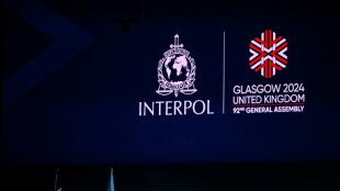 Interpol meldet "bislang größten Einsatz gegen Menschenhandel" mit 2500 Festnahmen