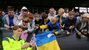 Ukrainians in Germany rally to support team at Euros