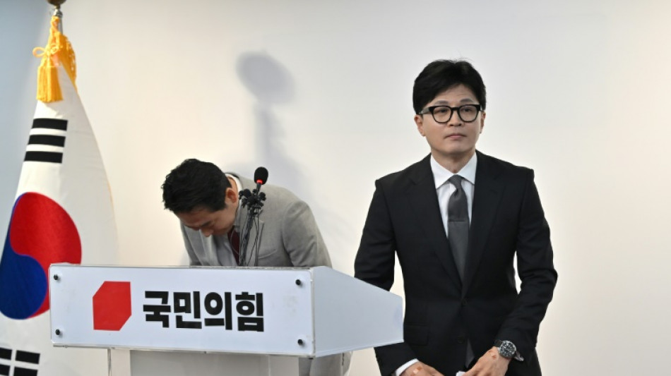 Berliner Tageszeitung - 'lame Duck' S. Korean President Reels From 