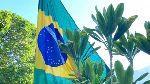 L'ambasciata argentina a Caracas issa la bandiera brasiliana