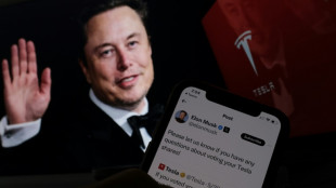 Acionistas da Tesla apoiam plano milionário de remuneração de Musk, segundo o magnata