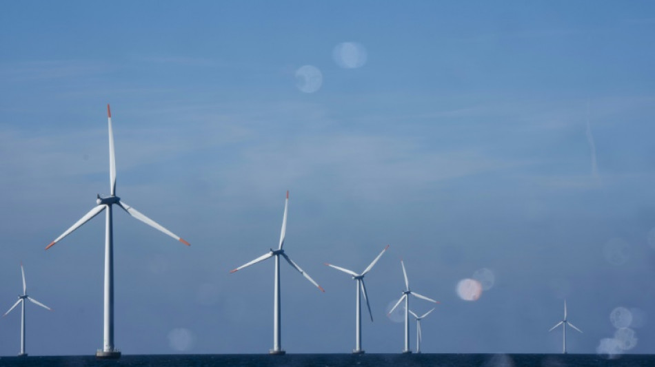 Blown off course, turbine giant Orsted seeks second wind