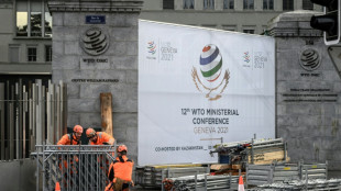 La reunión ministerial de la OMC se celebrará la semana del 13 de junio