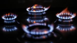 Il gas apre in rialzo ad Amsterdam (+2,2%)