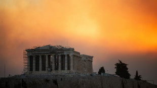 Athens suburbs on fire as Greece calls on EU for help