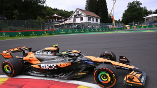 Formel 1: McLaren schlägt Verstappen