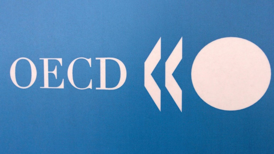 Berliner Tageszeitung OECD lifts 2024 growth forecasts, driven by US
