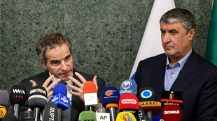 Irán y el OIEA quieren cerrar temas pendientes para relanzar acuerdo nuclear