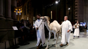 Centenas de 'pets' recebem bênçãos na catedral de Nova York 