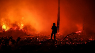 Riesiger Waldbrand bei Bordeaux breitet sich nicht weiter aus