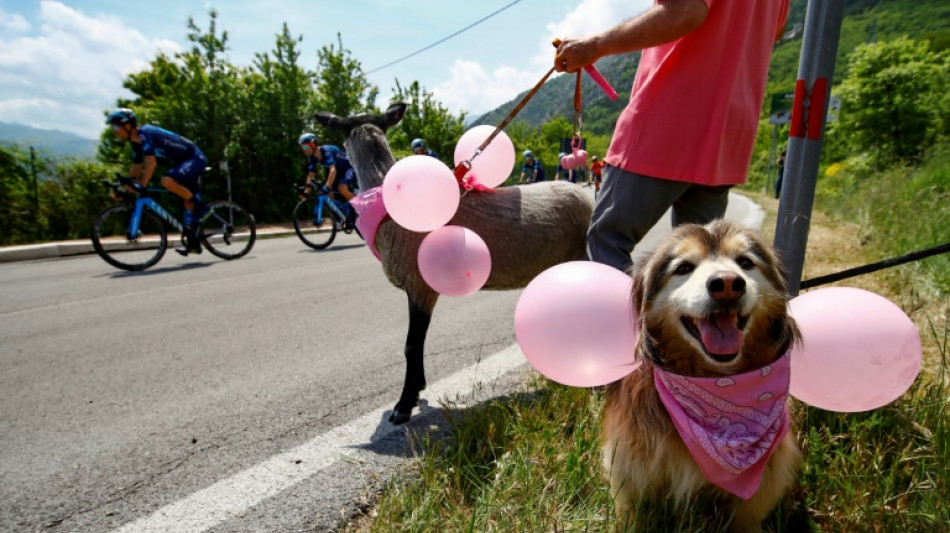 Frau sperrt in Rheinland-Pfalz Hund und Ziege in Auto ein
