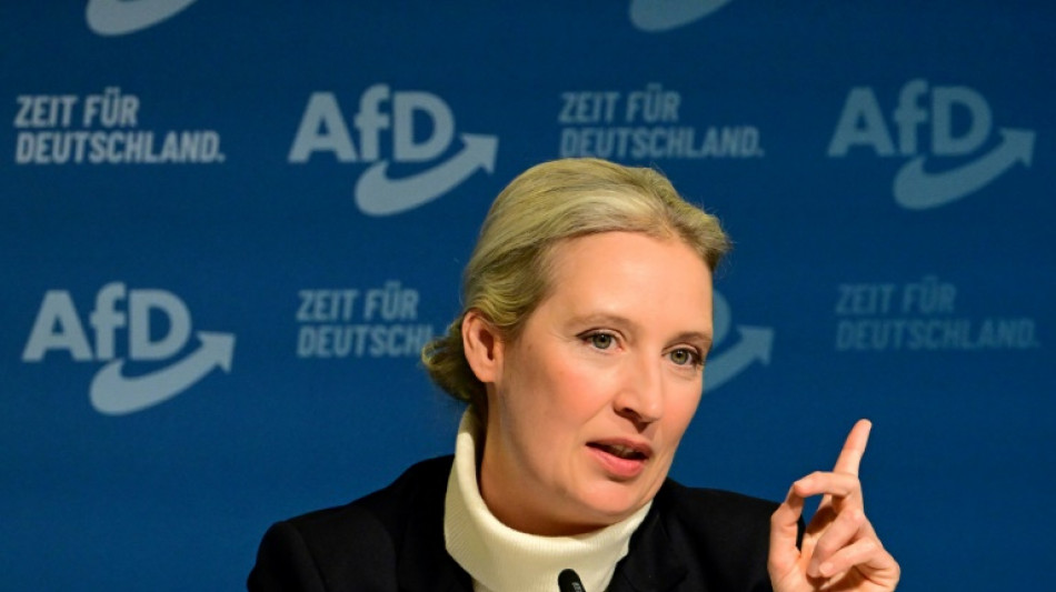 AfD-Vorstand kürt Weidel zur ersten Kanzlerkandidatin der Partei