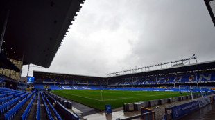 Dona da SAF do Vasco chega a acordo para compra do Everton