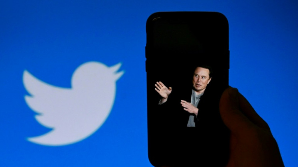 Musk poll shows respondents want to reinstate suspended Twitter accounts
