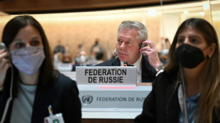 Rusia, en la mira del Consejo de Derechos Humanos de la ONU