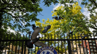 Grünes Licht für Chelsea-Verkauf: Regierung stimmt zu