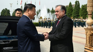 China's Xi pledges support for Tajikistan 'territorial integrity'