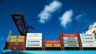 El gigante danés de transporte marítimo Maersk suspende sus viajes a puertos rusos