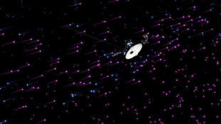 La sonda Voyager 1 è tornata pienamente operativa