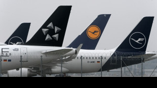 Lufthansa erwartet Normalisierung des Flugbetriebs im kommenden Jahr 