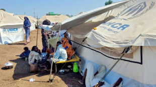 Over two-thirds of displaced families in east Sudan short of food: NGO