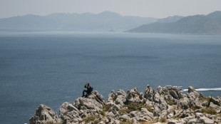 Missing UK health journalist found dead on Greek island: police