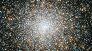 Les premiers amas d'étoiles ont aidé à façonner les galaxies à l'aube cosmique