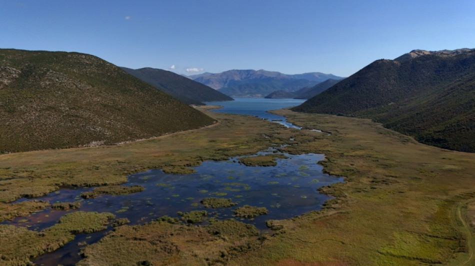 Albanie: le petit lac de Prespa, chronique d'une mort silencieuse