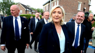 Aux législatives, Le Pen entend conforter sa place de première opposante