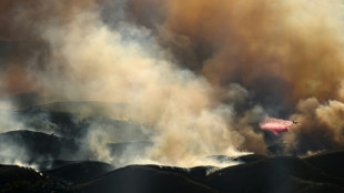 Air tankers fight Los Angeles fires from frantic skies