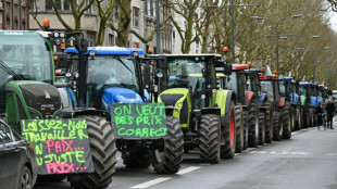 "Plein les bottes": des centaines d'agriculteurs protestent dans le Nord