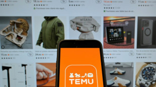 Chinese shopping app Temu suspended in Vietnam: state media