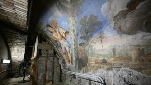 Electrician finds frescoes behind false ceiling in Rome