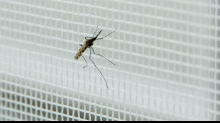 Cambiamenti climatici frenano diffusione della malaria in Africa