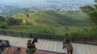 La COP16 en Colombia promete "garantías de seguridad" ante las amenazas de guerrilleros