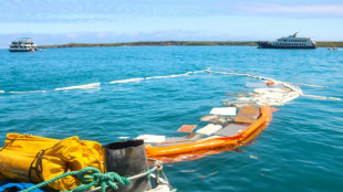 Möglicherweise tausende Liter Diesel vor Galapagos-Inseln ausgelaufen