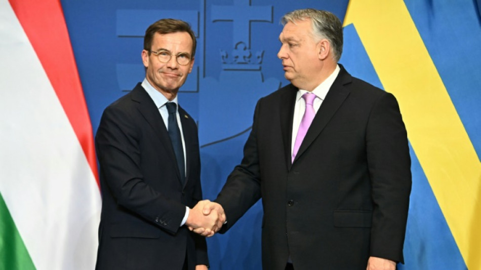 Vor Votum zu Nato-Beitritt: Ungarn und Schweden verstärken Militärzusammenarbeit